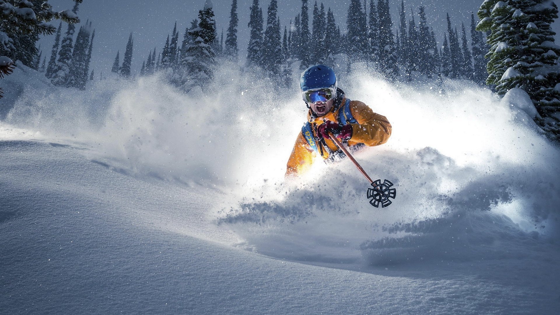 主帅公开与高层唱反调，引发内部动荡